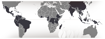 zurück zur Übersicht