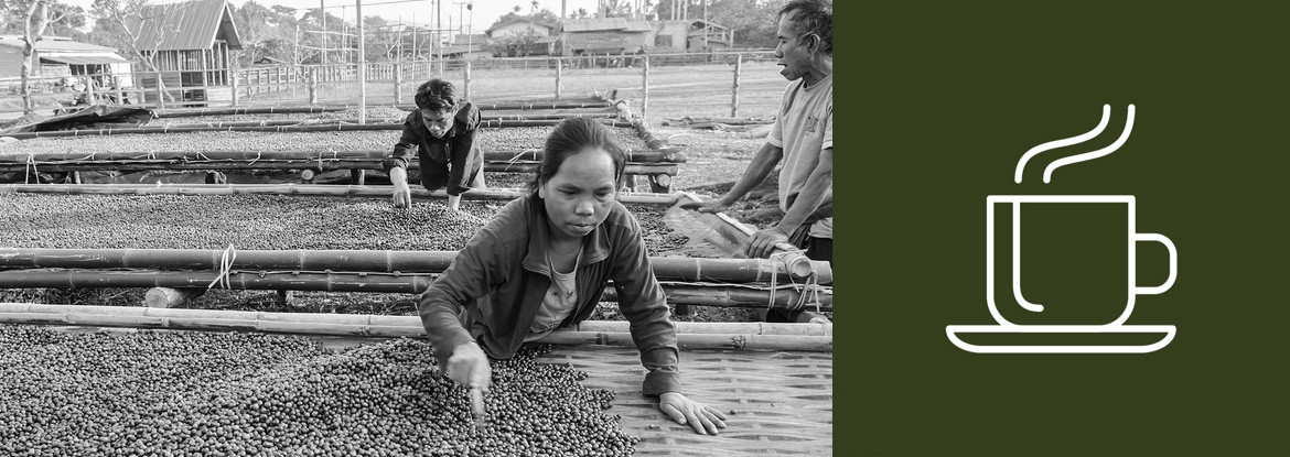 Kaffeeernte und Weiterverarbeitung - Teil 2