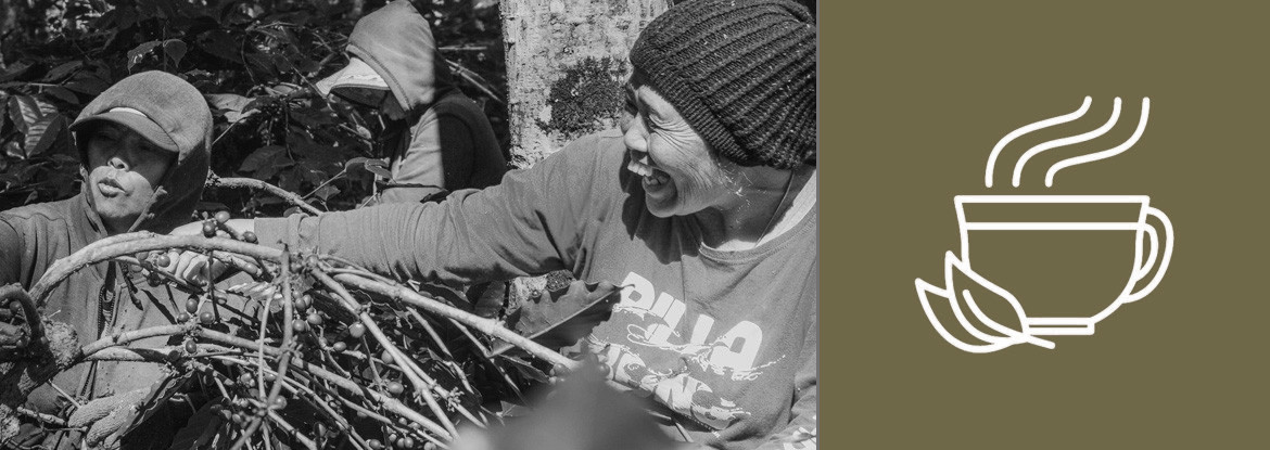 Single Origin - Was versteht man darunter? - Teil 2