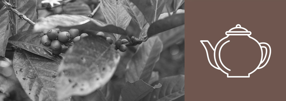 Kaffeesorten - Teil 1