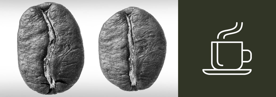 Kaffeesorten - Teil 2